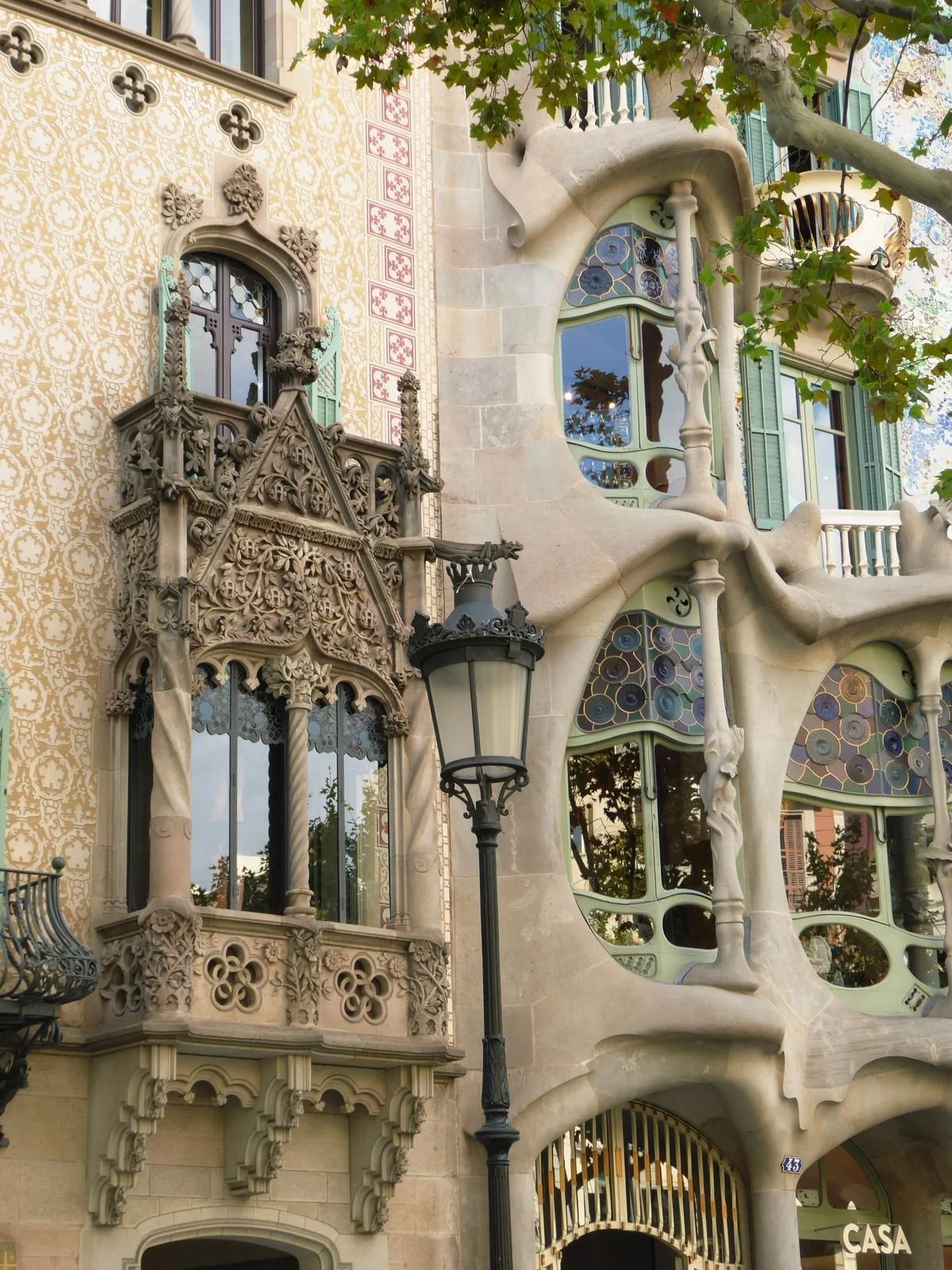 Imagen de WhatsApp 2025-11-07 a las 11.34.34_1e9edcc3.jpg