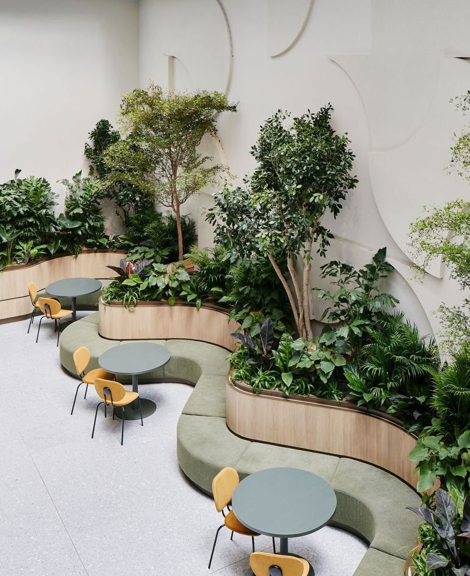 Imagen de WhatsApp 2025-11-07 a las 11.16.50_b7a62d41.jpg