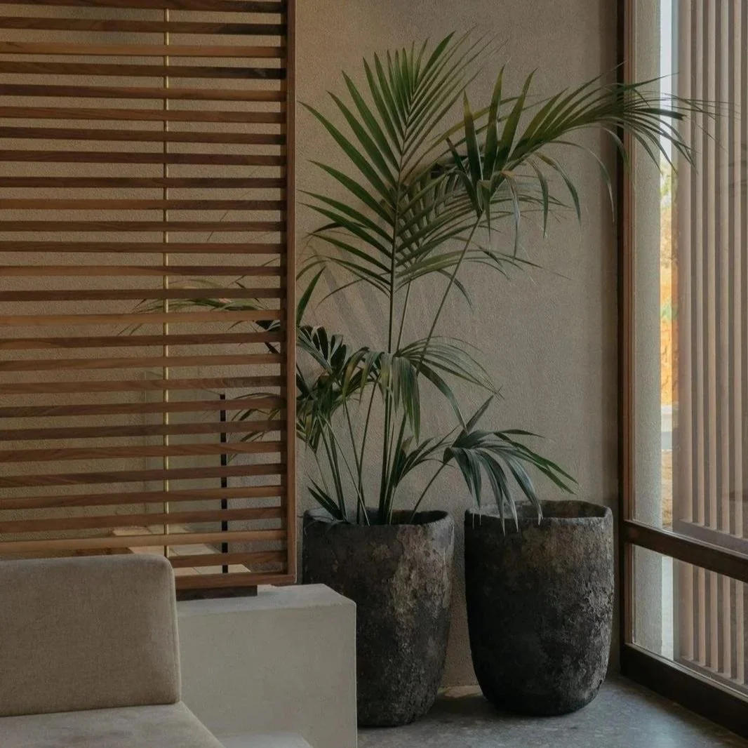 Artículo N.º 04: Interiorismo emocional