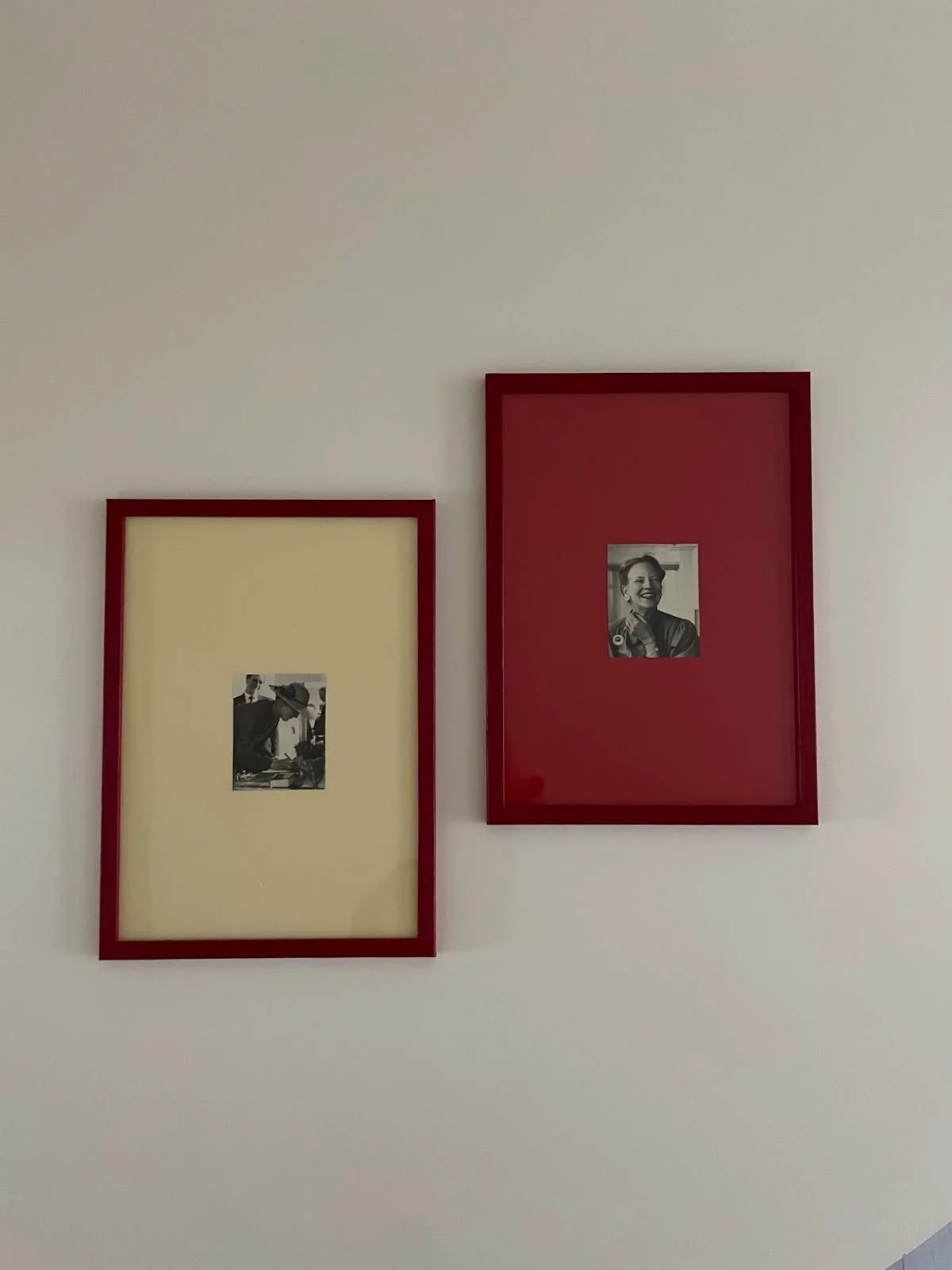 WhatsApp Image 2026-03-03 at 11.35.54T3544.jpeg