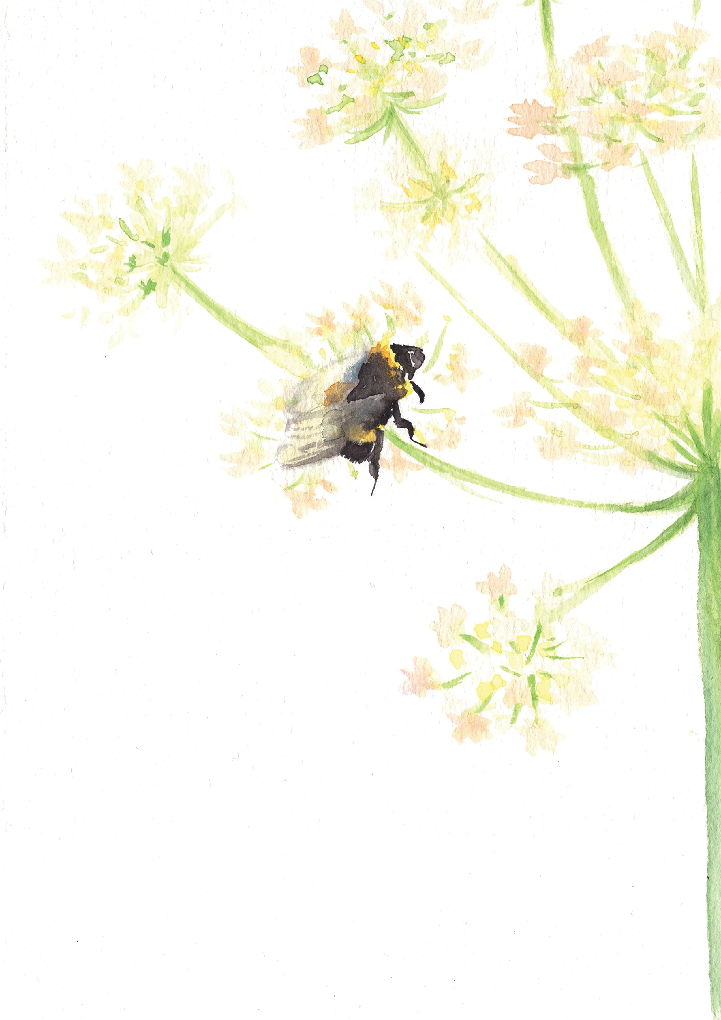 9. Bee.jpg