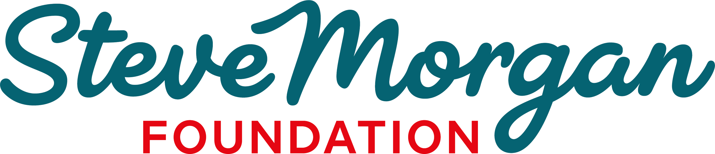 Logo of the Steve Morgan Foundation with the name written in stylized blue script and red capital letters underneath