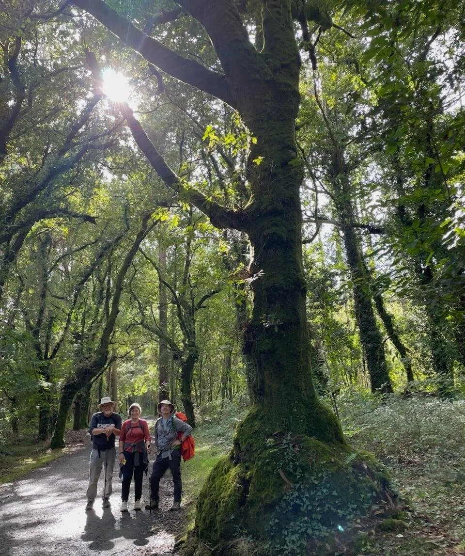 Camino 2025 tour leaders, Fred &amp; Shirley, with a fellow TM traveler