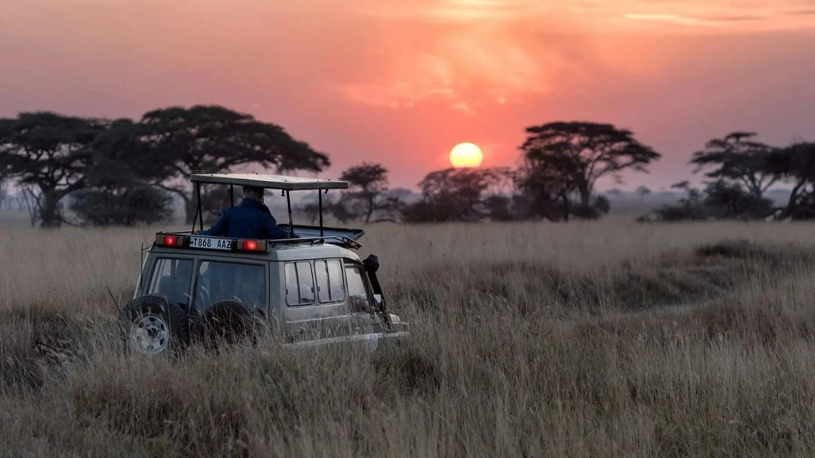 Tanzania Safari & Zanzibar Escape