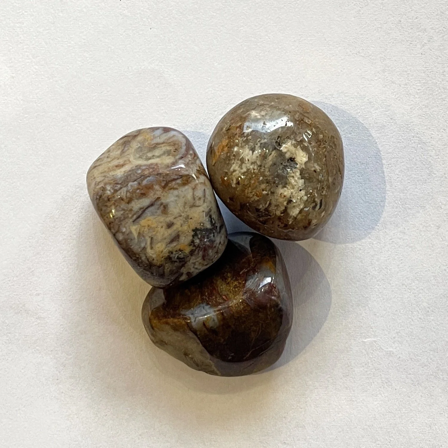 Pietersite tumbleIMG_7908.JPG