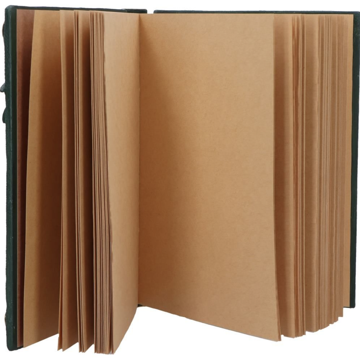 Screenshot 2026-03-05 at 13.09.58.png