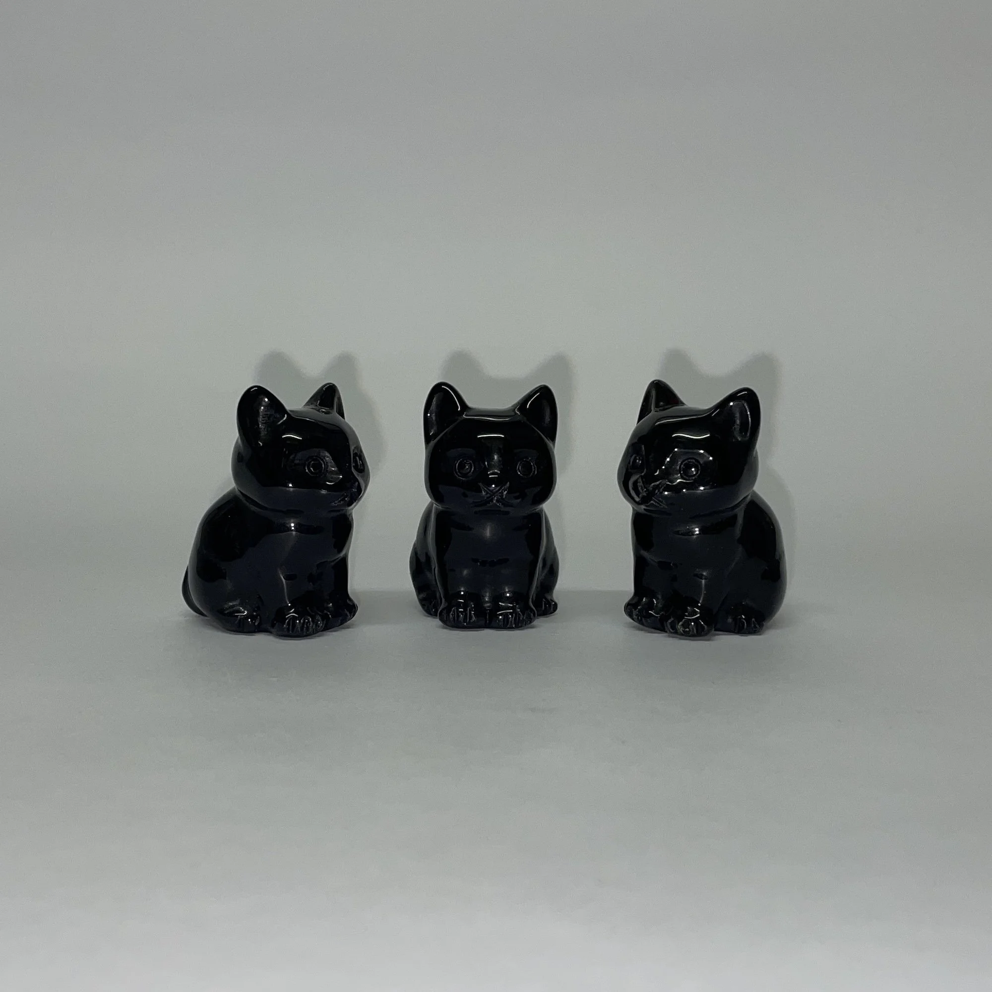 black obsidian kitten2.JPG