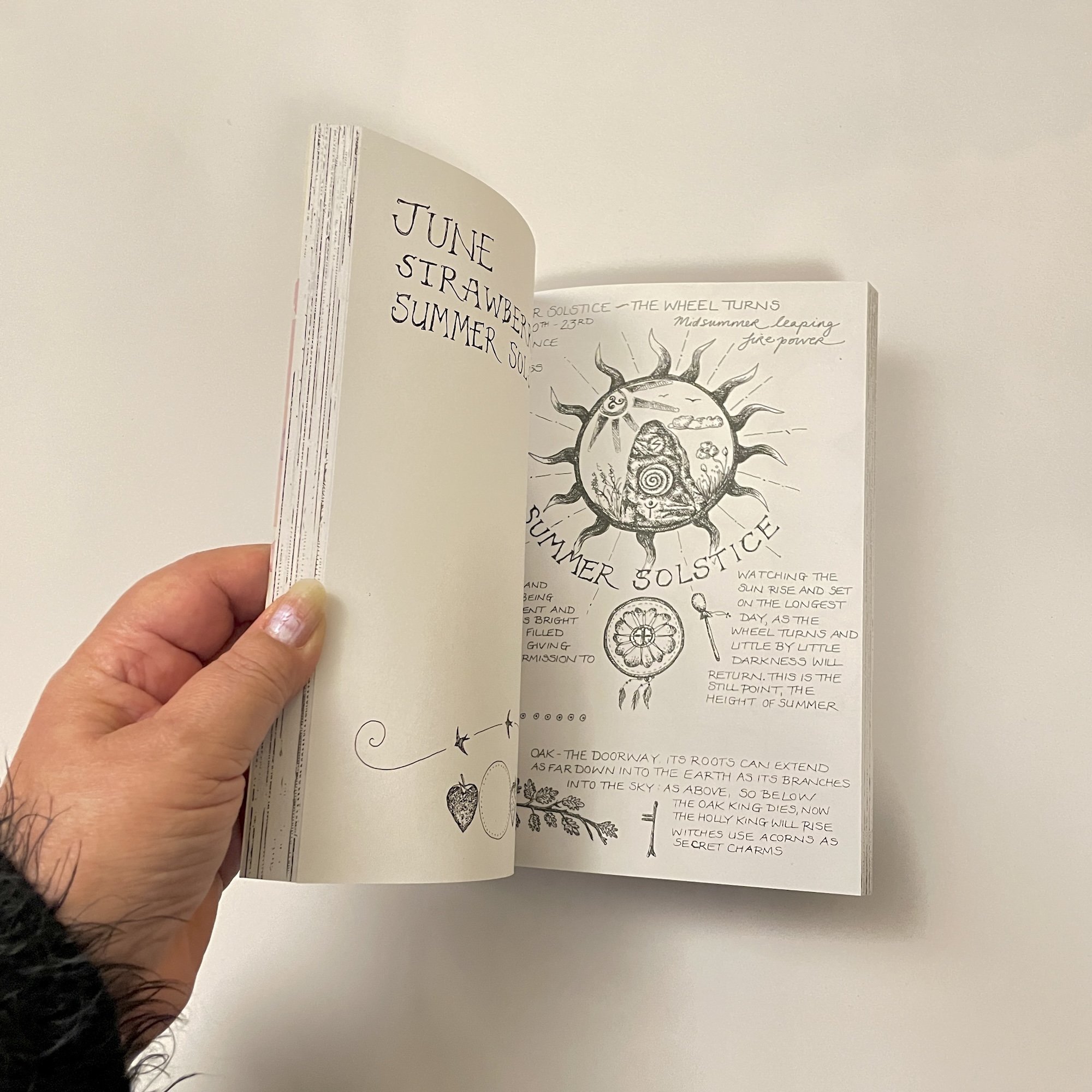 Jaine Rose Journal3.jpg