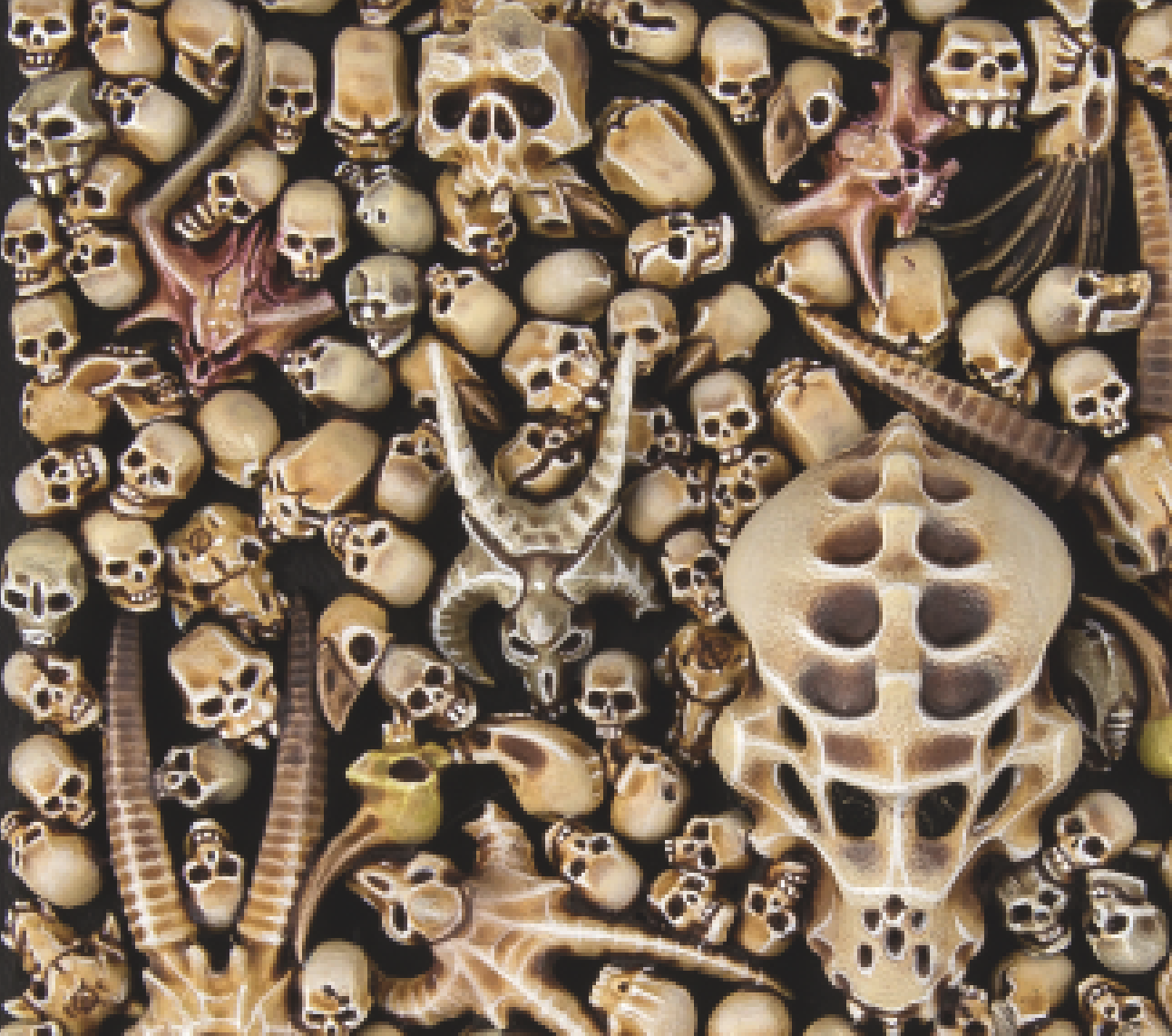 Citadel: Skulls2.png