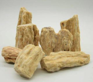 Sal Tree Resin2.png (Copy)