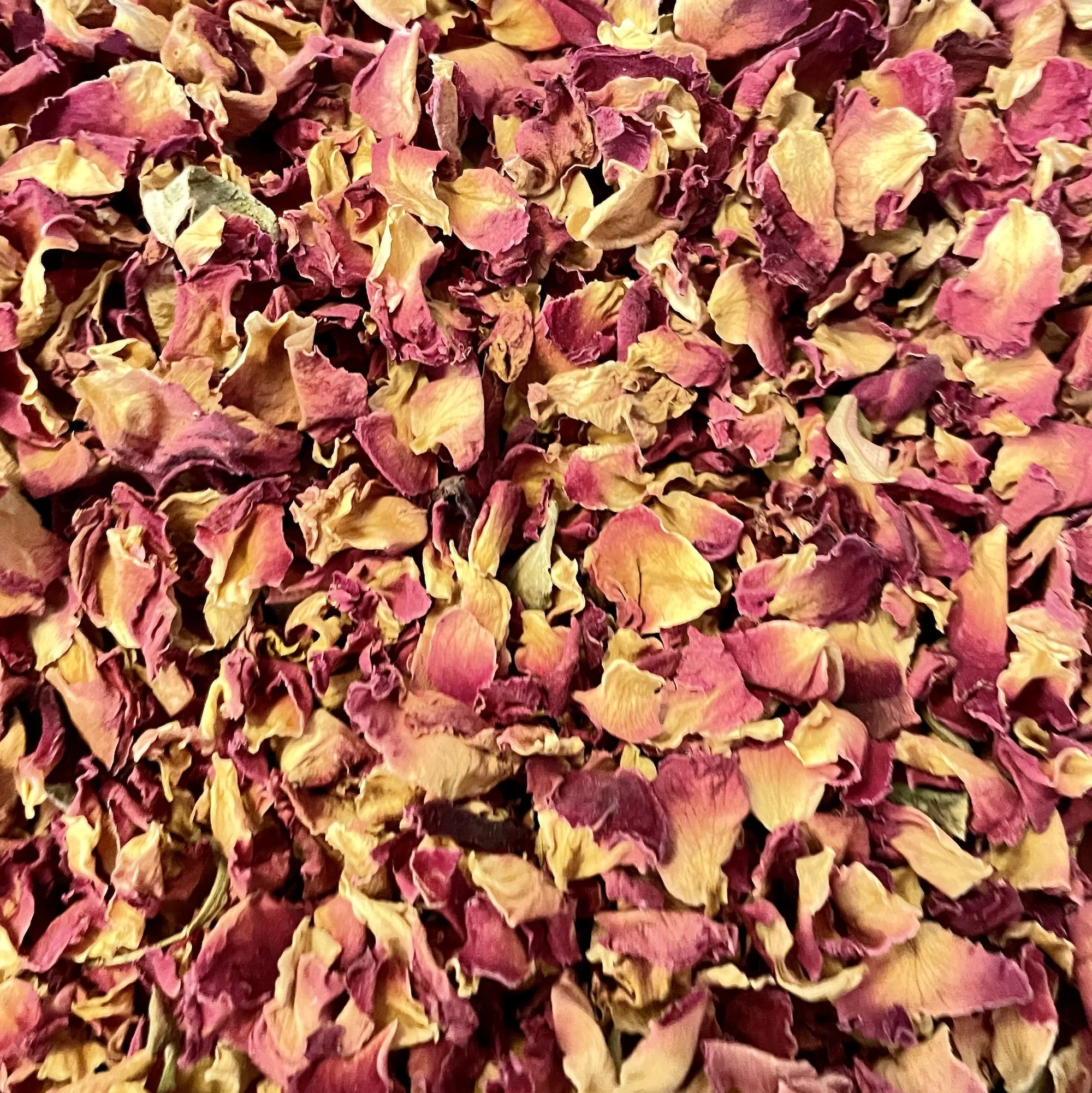 red rose petals drierd.JPG