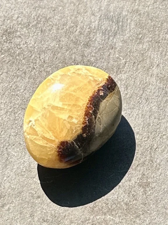 septarian palmstone 2   3.jpg