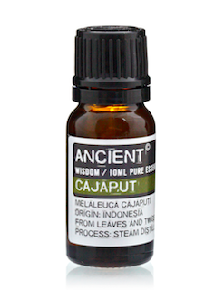 Cajeput Essential Oil.png