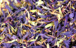 Cornflower Petals2.png