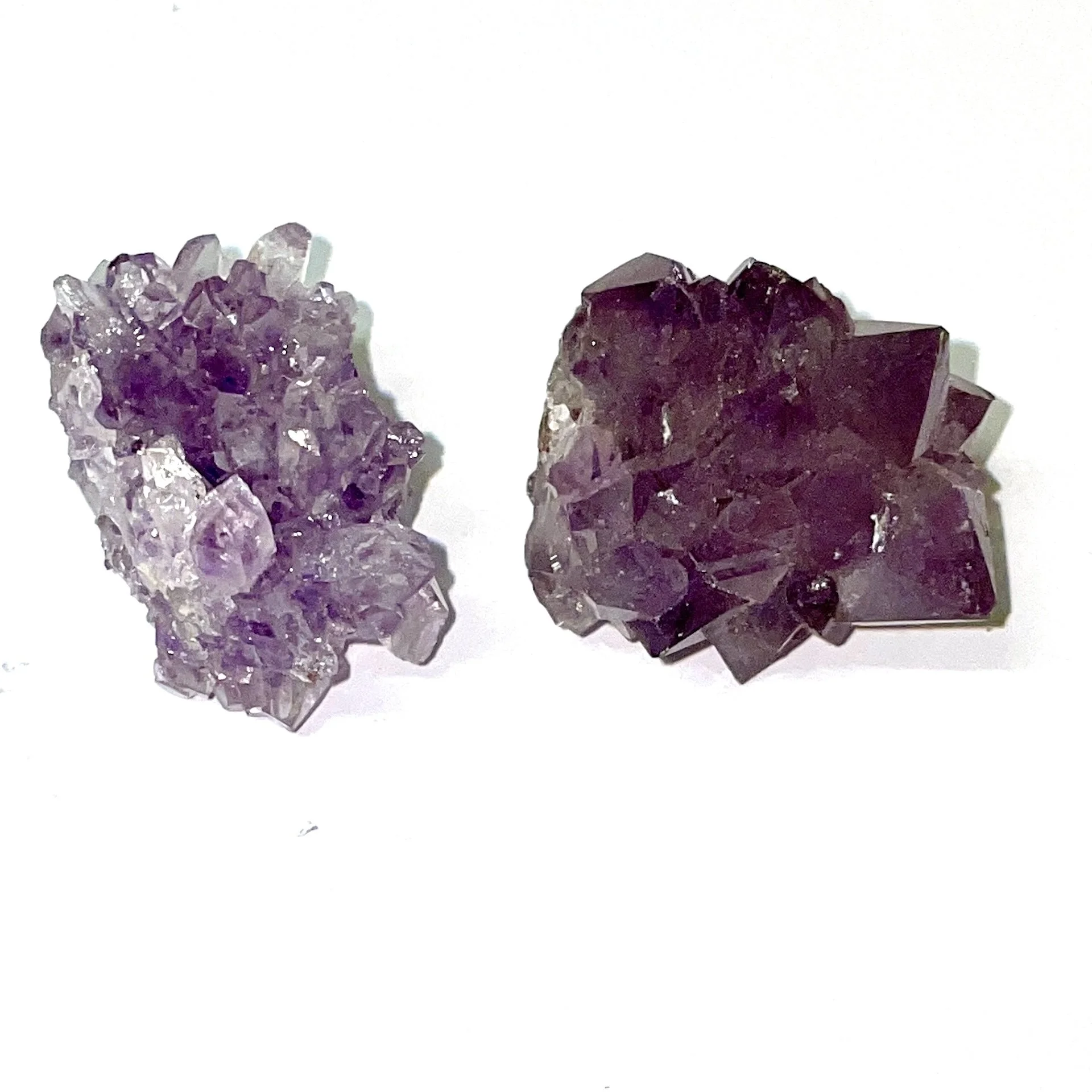 Amethyst Pine sml