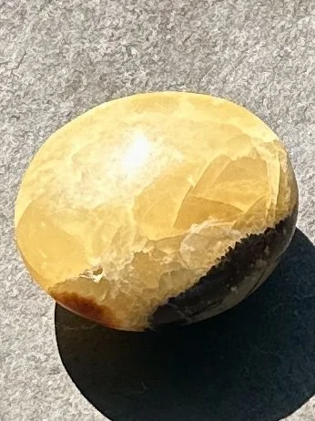 septarian palmstone 1  2.jpg