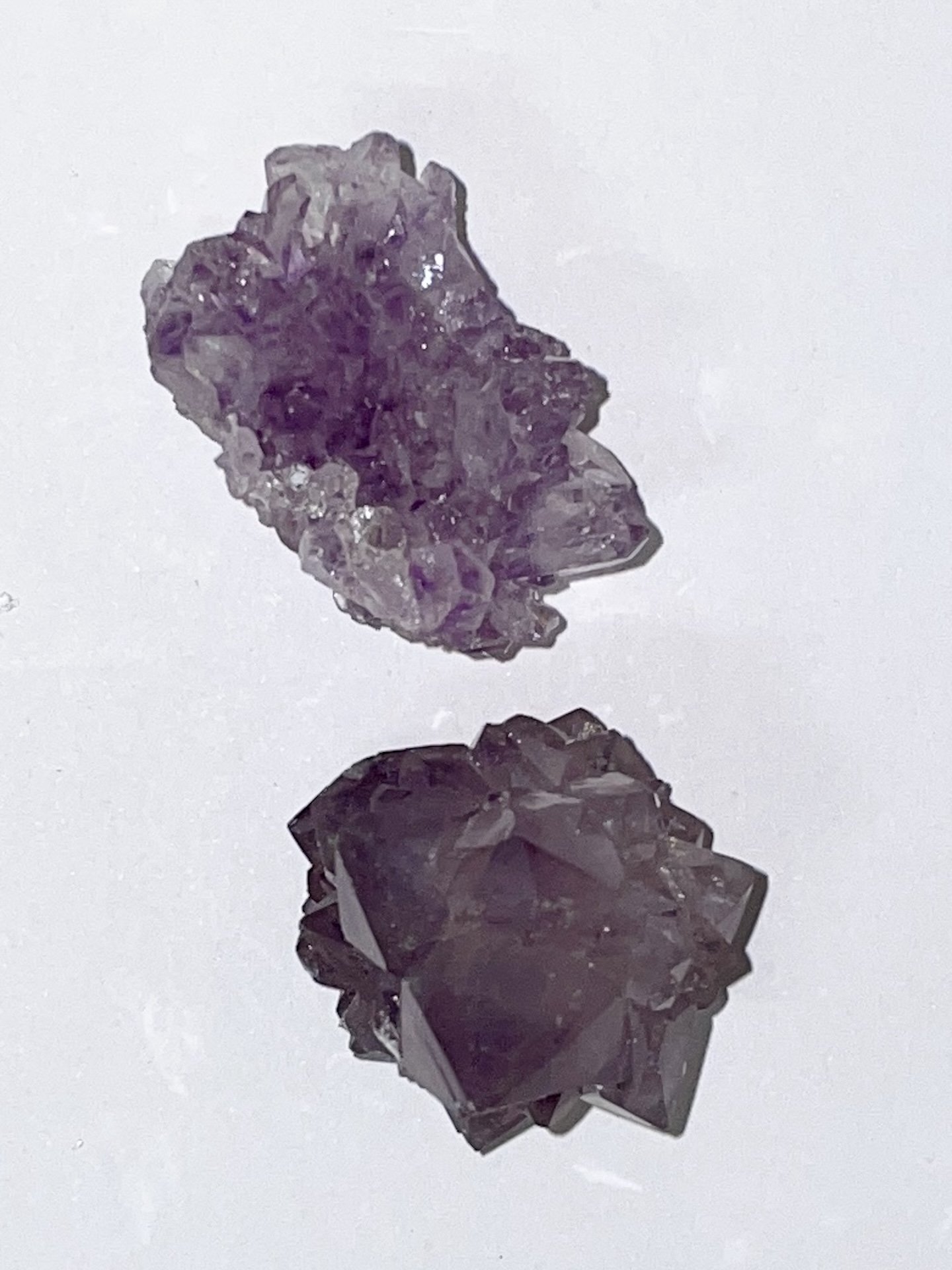 Amethyst Pines sml3.JPG