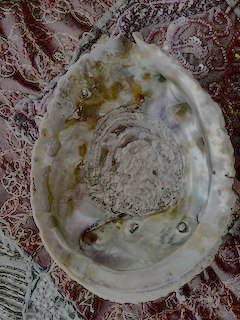 Abalone Shell3.png