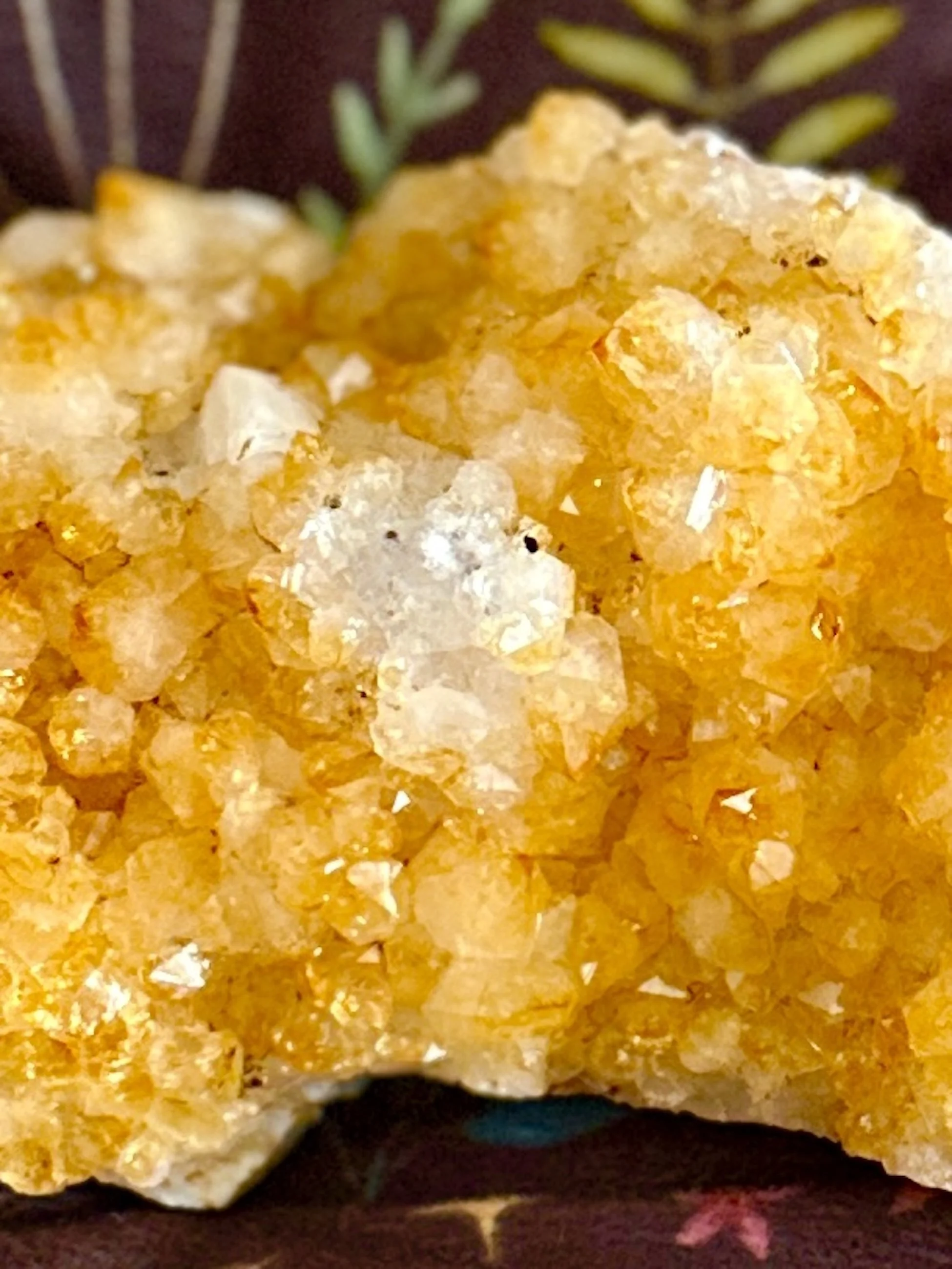 citrine bed lge3.jpg