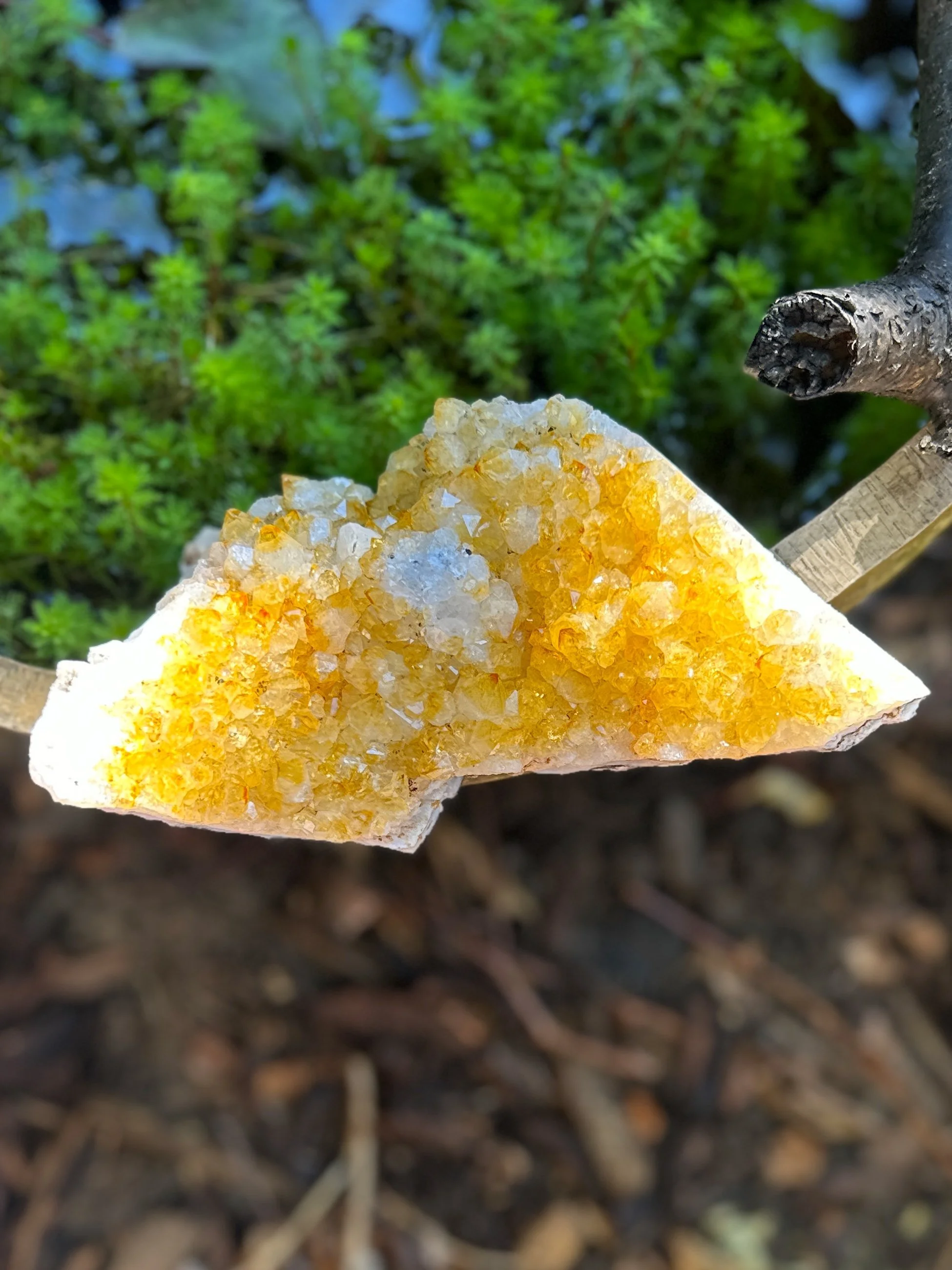 citrine bed lge4.jpg