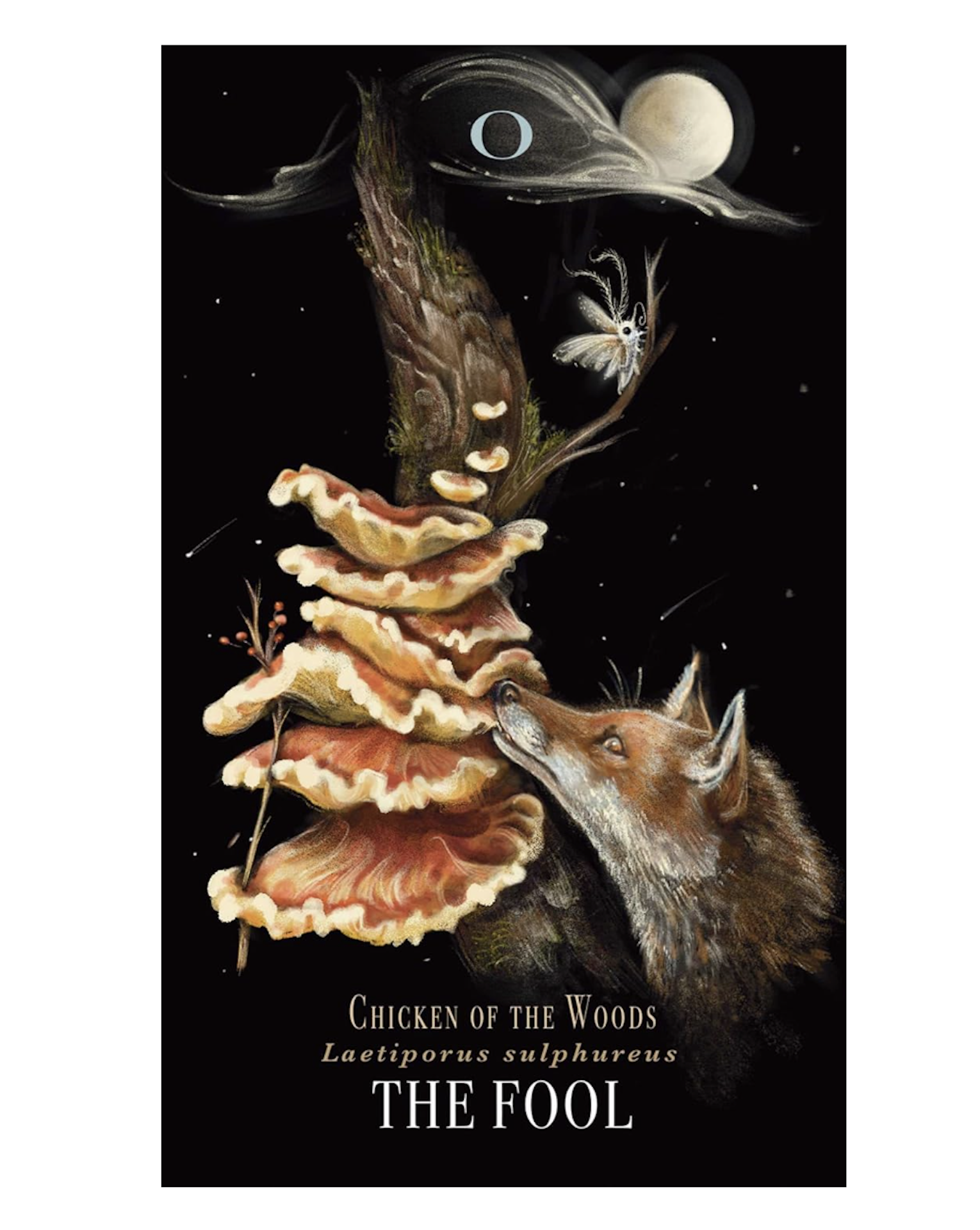 Screenshot 2025-11-16 at 13.12.54.png