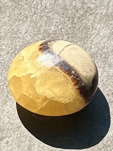 septarian palmstone 1  3.jpg