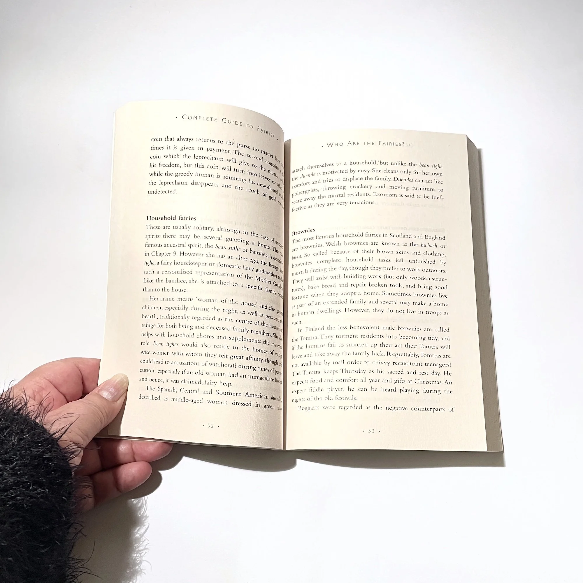 complete guide to fairies and magical beings Cassandra Eason3.JPG