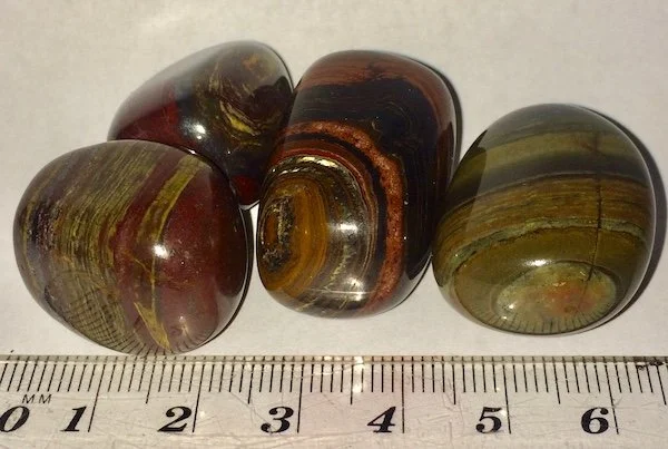 Tigers Iron MediumIMG_7589.jpg