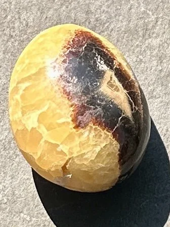 septarian palmstone 2   1.jpg