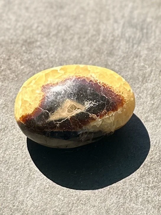 septarian palmstone 2   2.jpg
