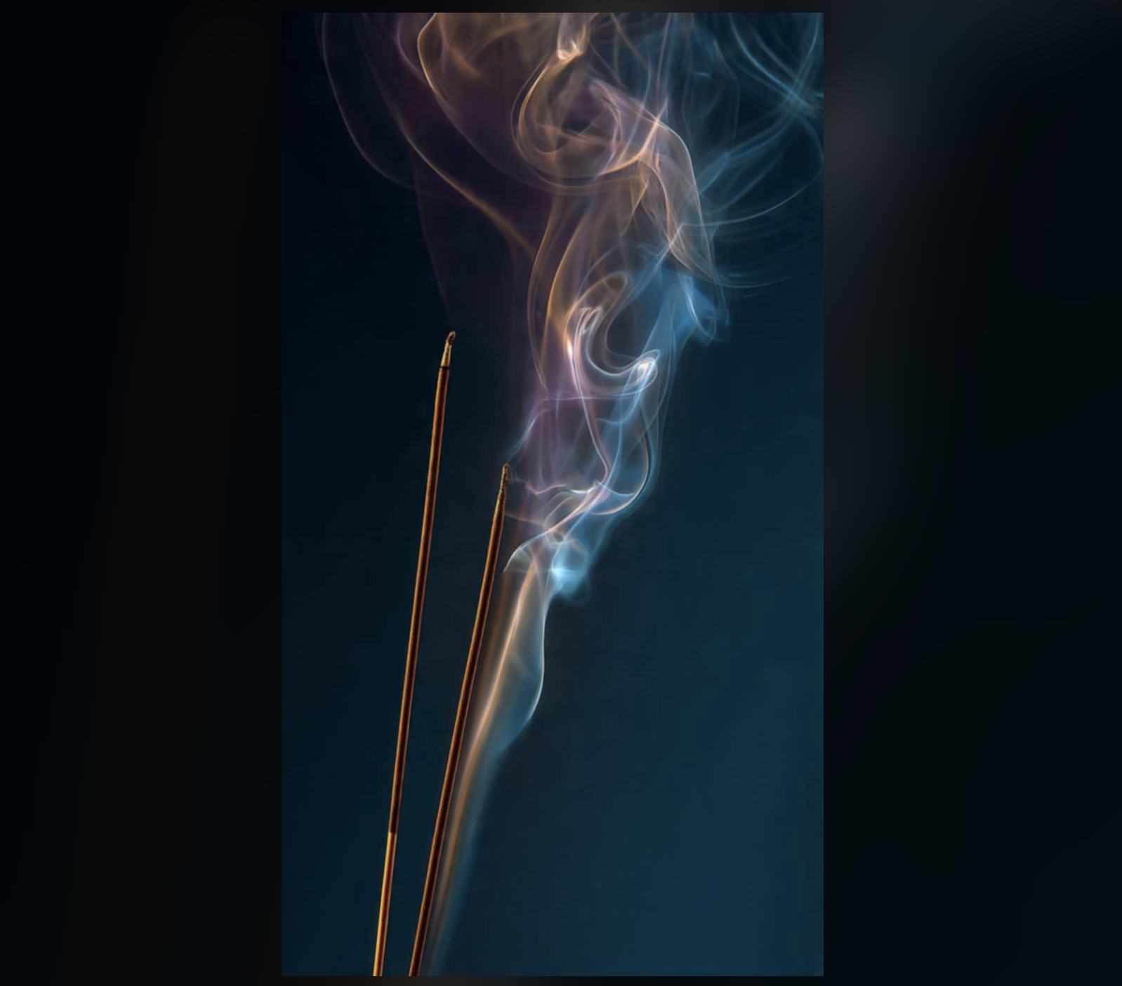 White Sage Incense Sticks Banjara Tribal Smudge