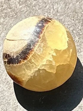 septarian palmstone 1  1.jpg