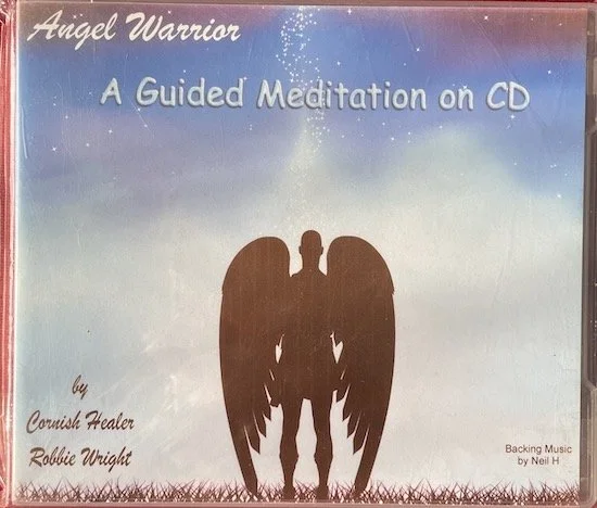 cd angel warrior robbie wright1.JPG