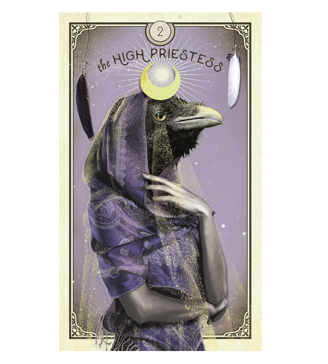 The Tarot of Curious Creatures - Chris-Anne2.png