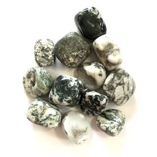 Tree  Agate Tumble.png