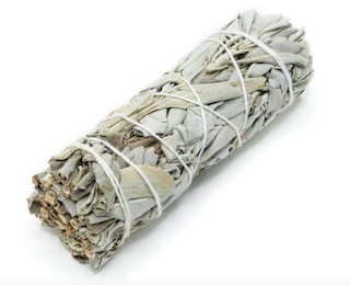 Large sage.png
