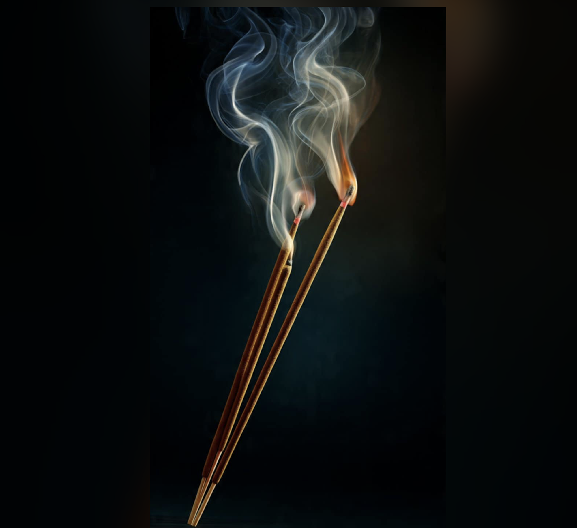 Wild Rose Incense Sticks Banjara