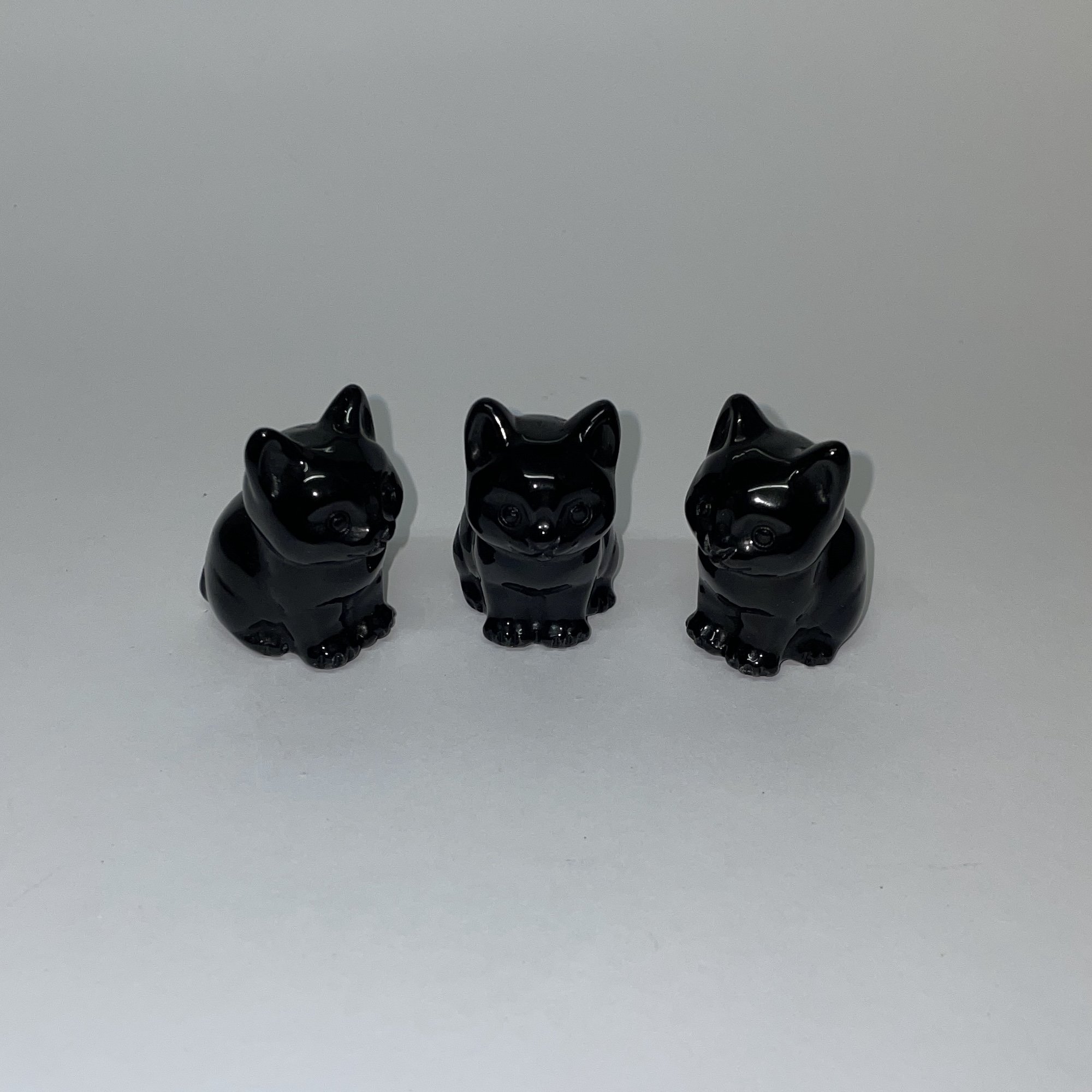 black obsidian kitten1.JPG