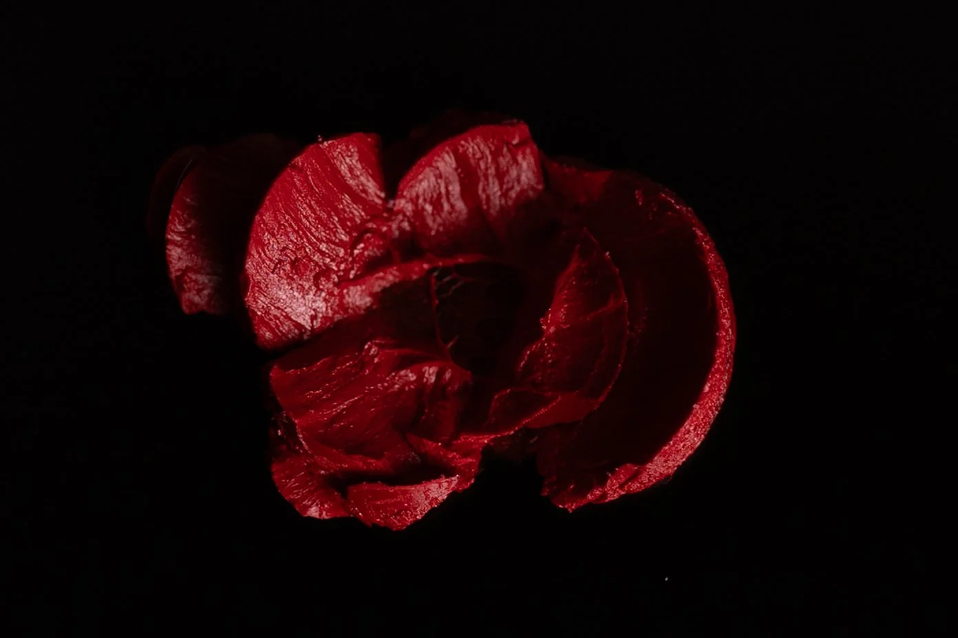 Close-up of a red flower with dark background, highlighting petals' texture and curves.