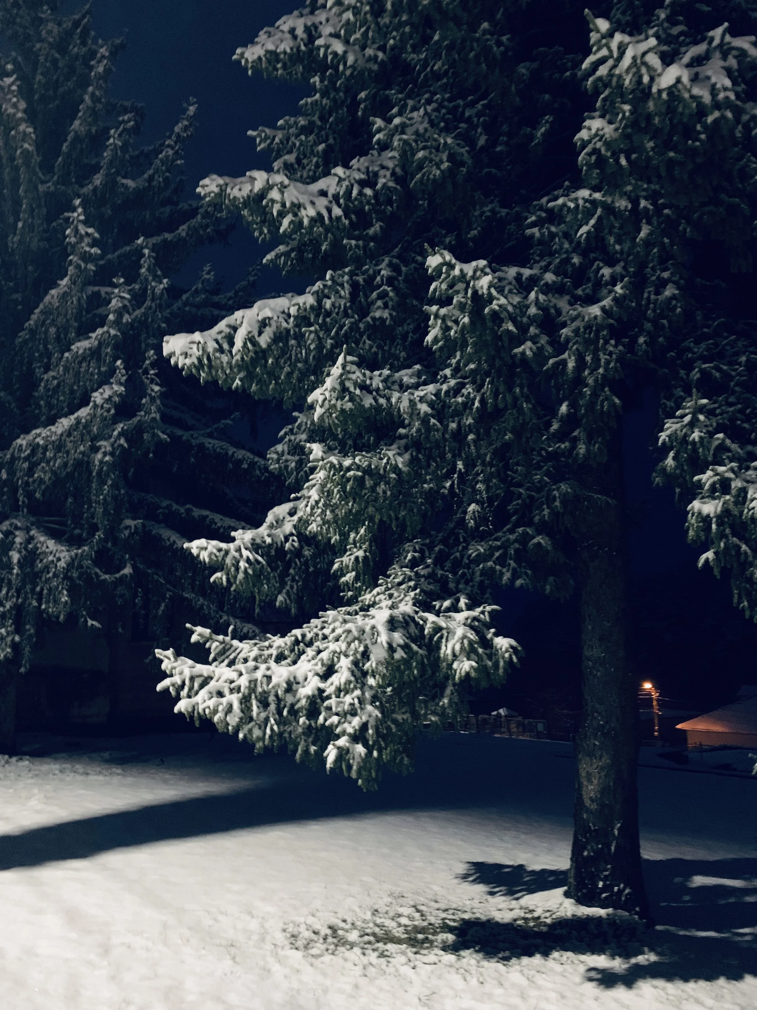 This Christmas/Тази Коледа