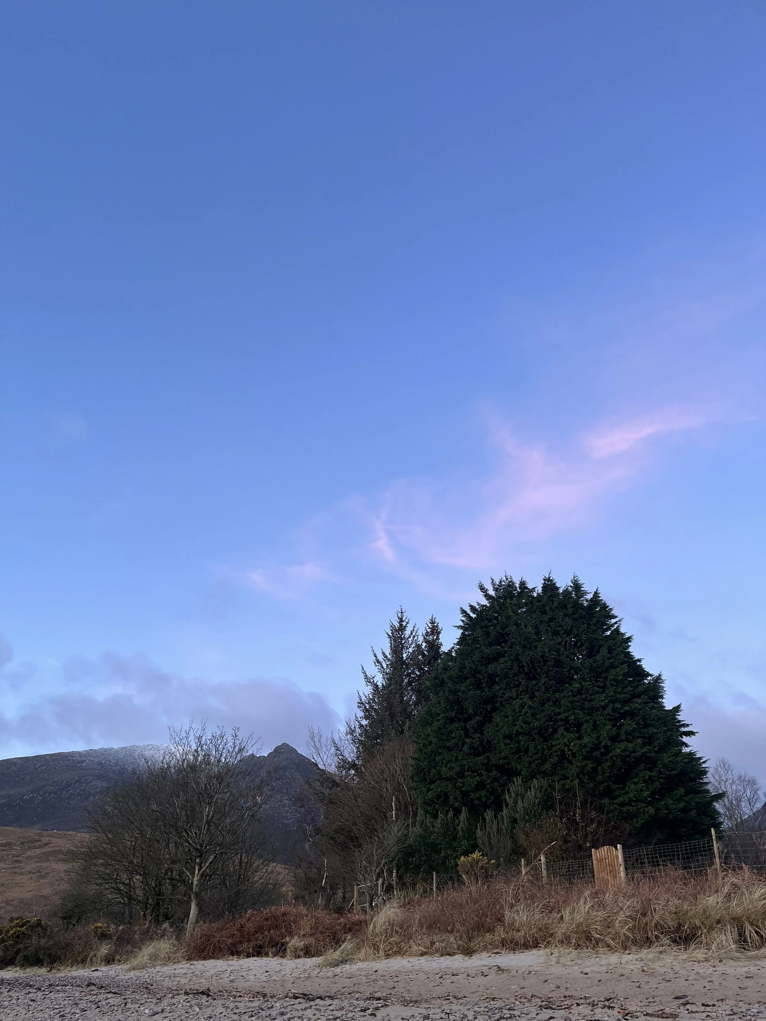 Scenic landscape with trees, mountains, and a sky with pink and blue hues near sunset.