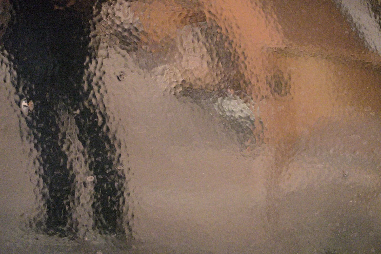 DSC02657.jpg