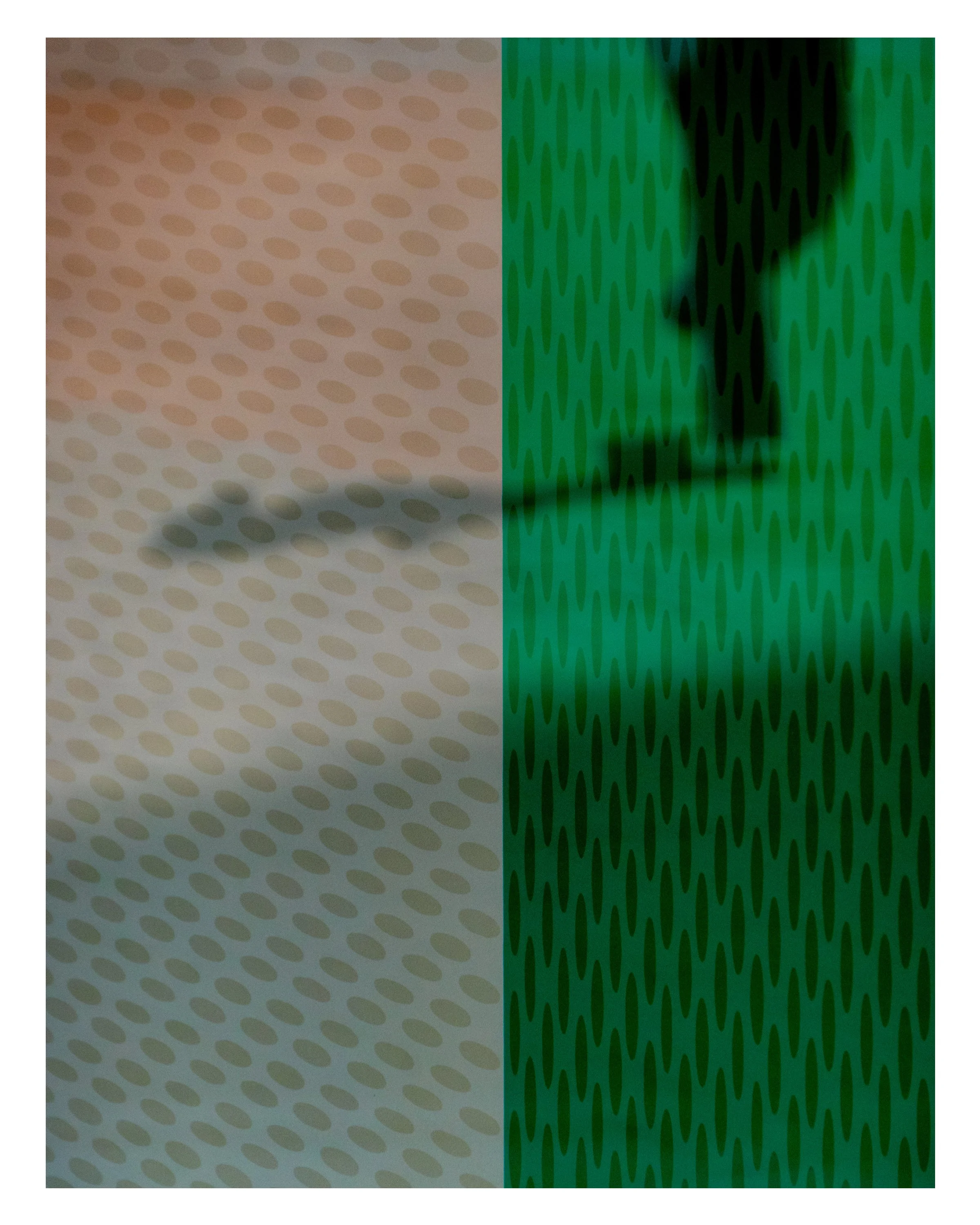 Frame 12.jpg