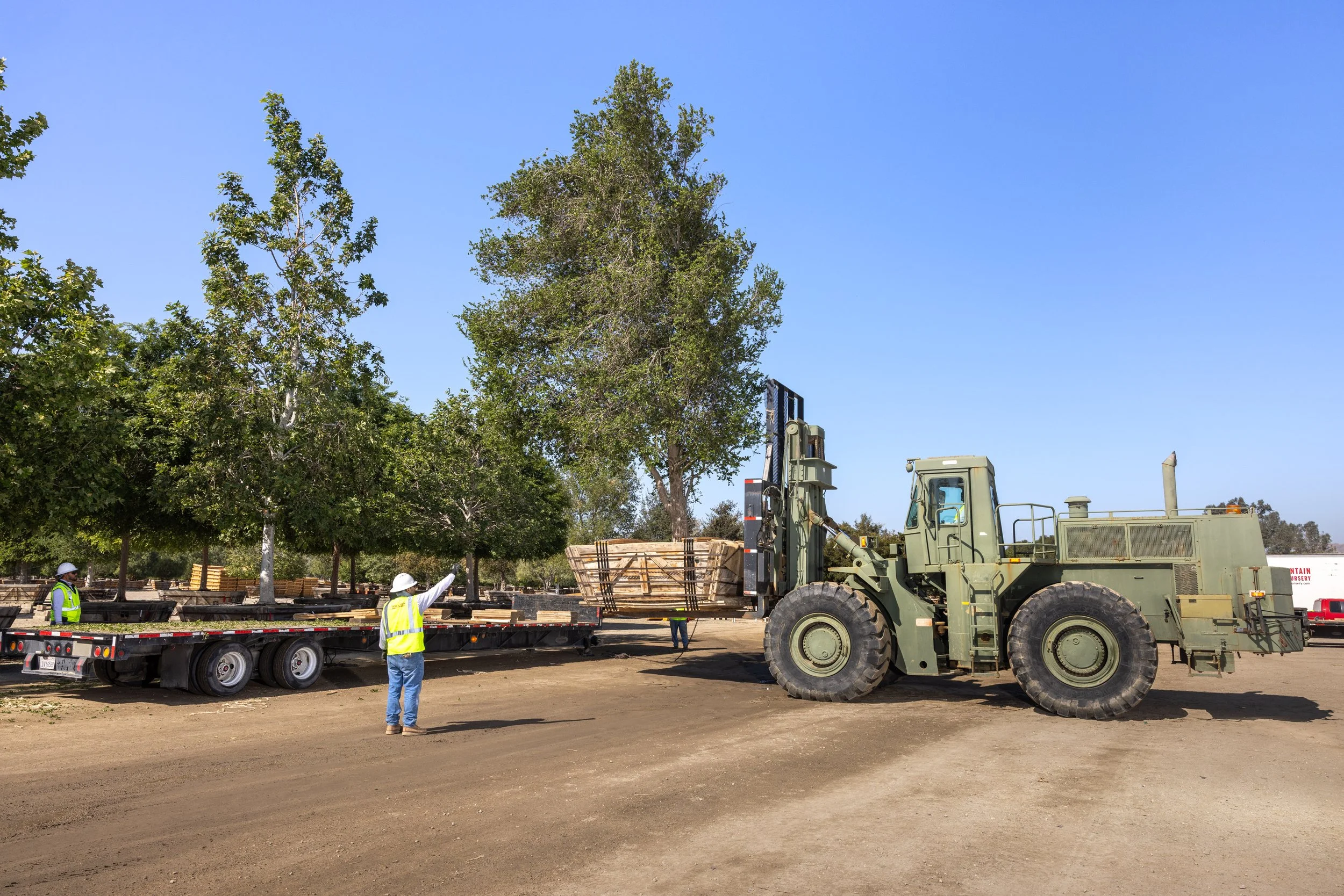 Capture One Catalog0569.jpg