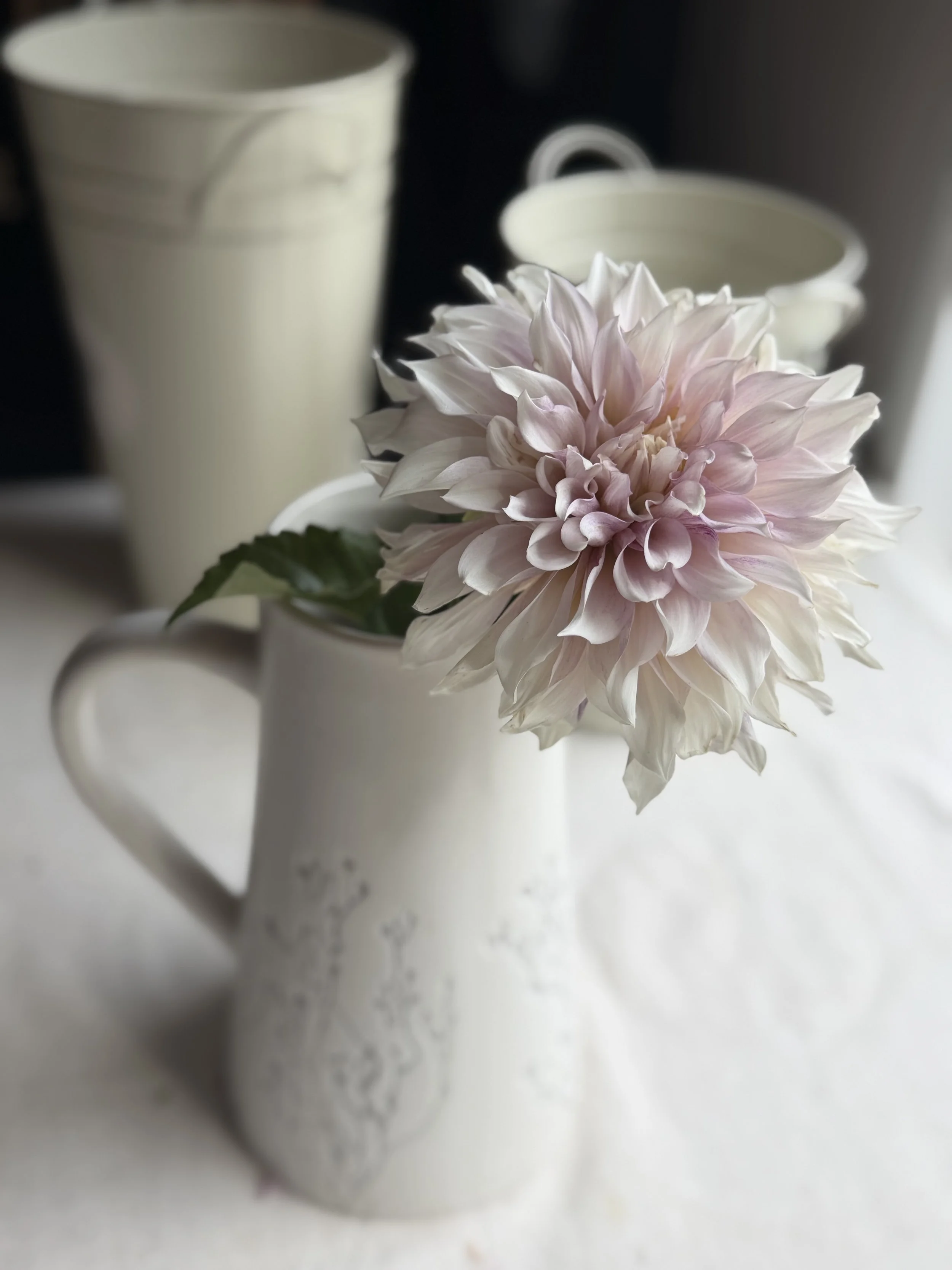 IMG_0953.jpeg