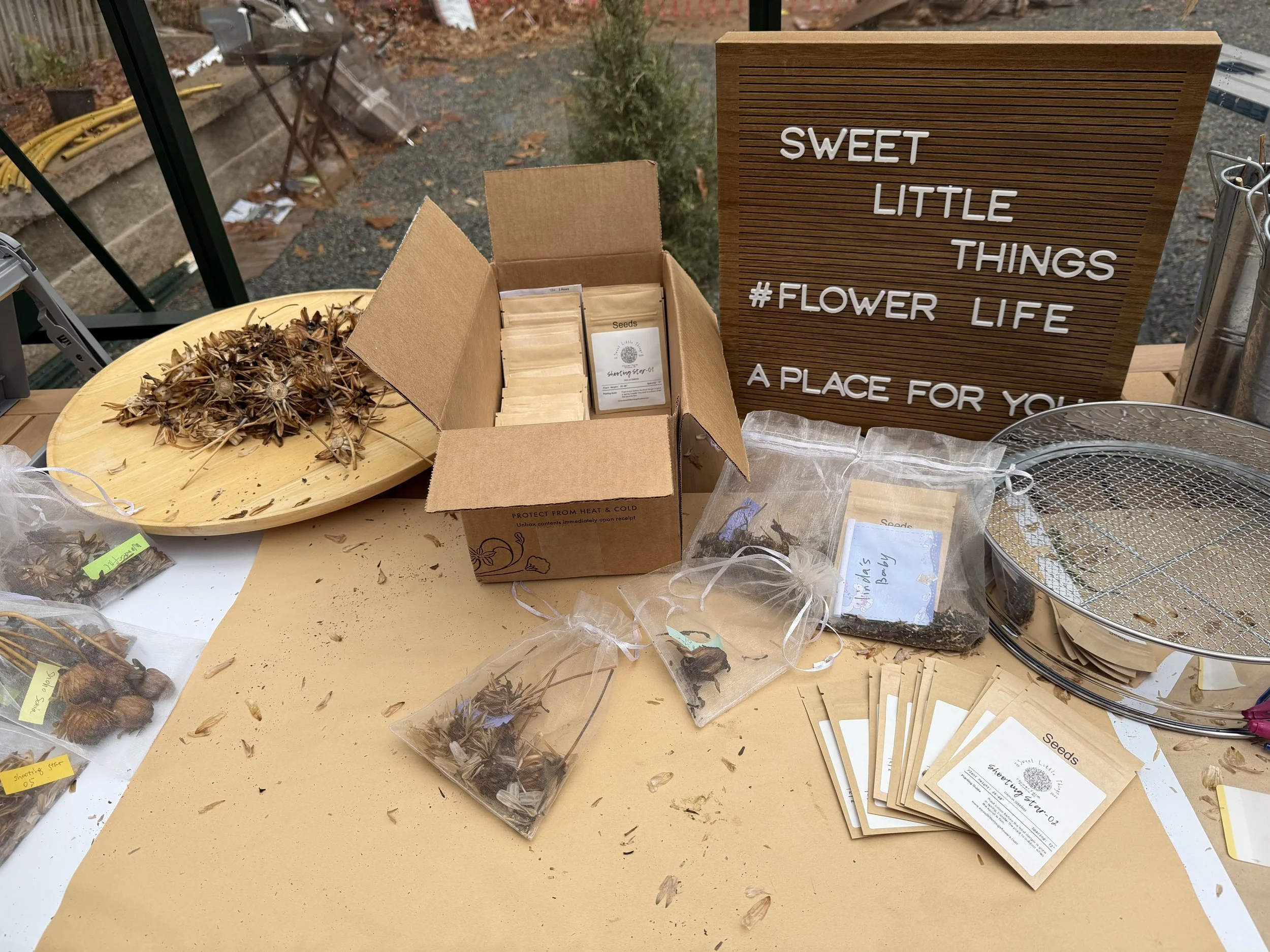 Saving Seeds & Dry Flowers