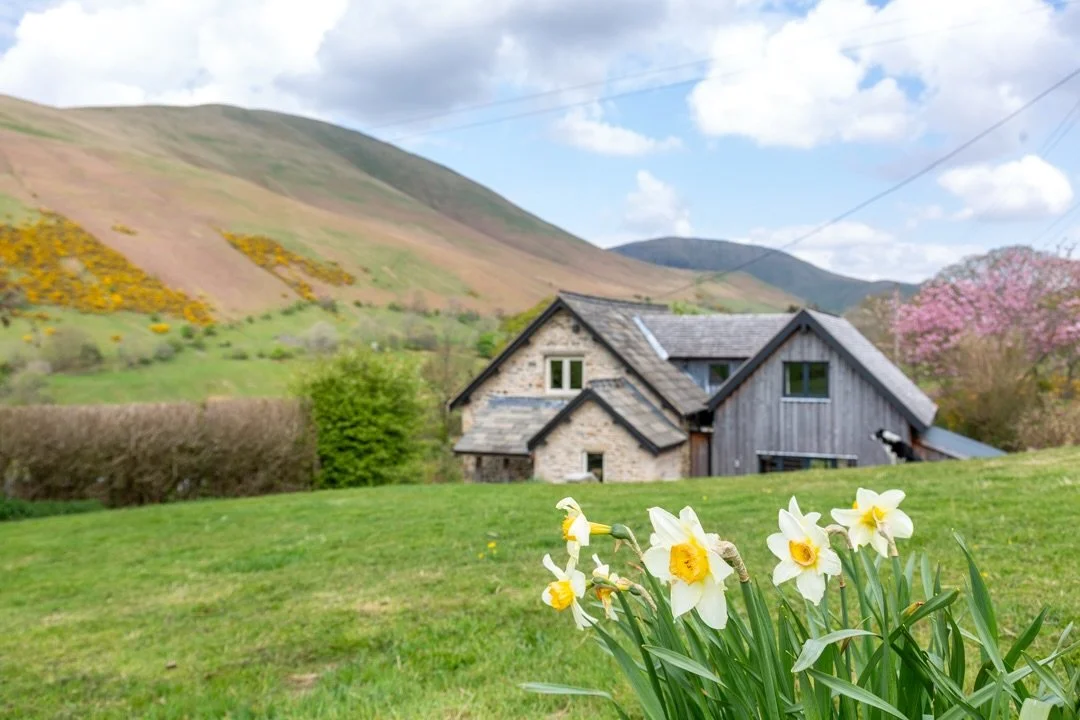 Just a little reminder that in 2 months time this is what Ridge House will look like 🌼 Anyone else so looking forward to Spring!? Especially today when it&rsquo;s been non stop drizzle all day&hellip; 🤪

But the mornings are getting lighter, the bi