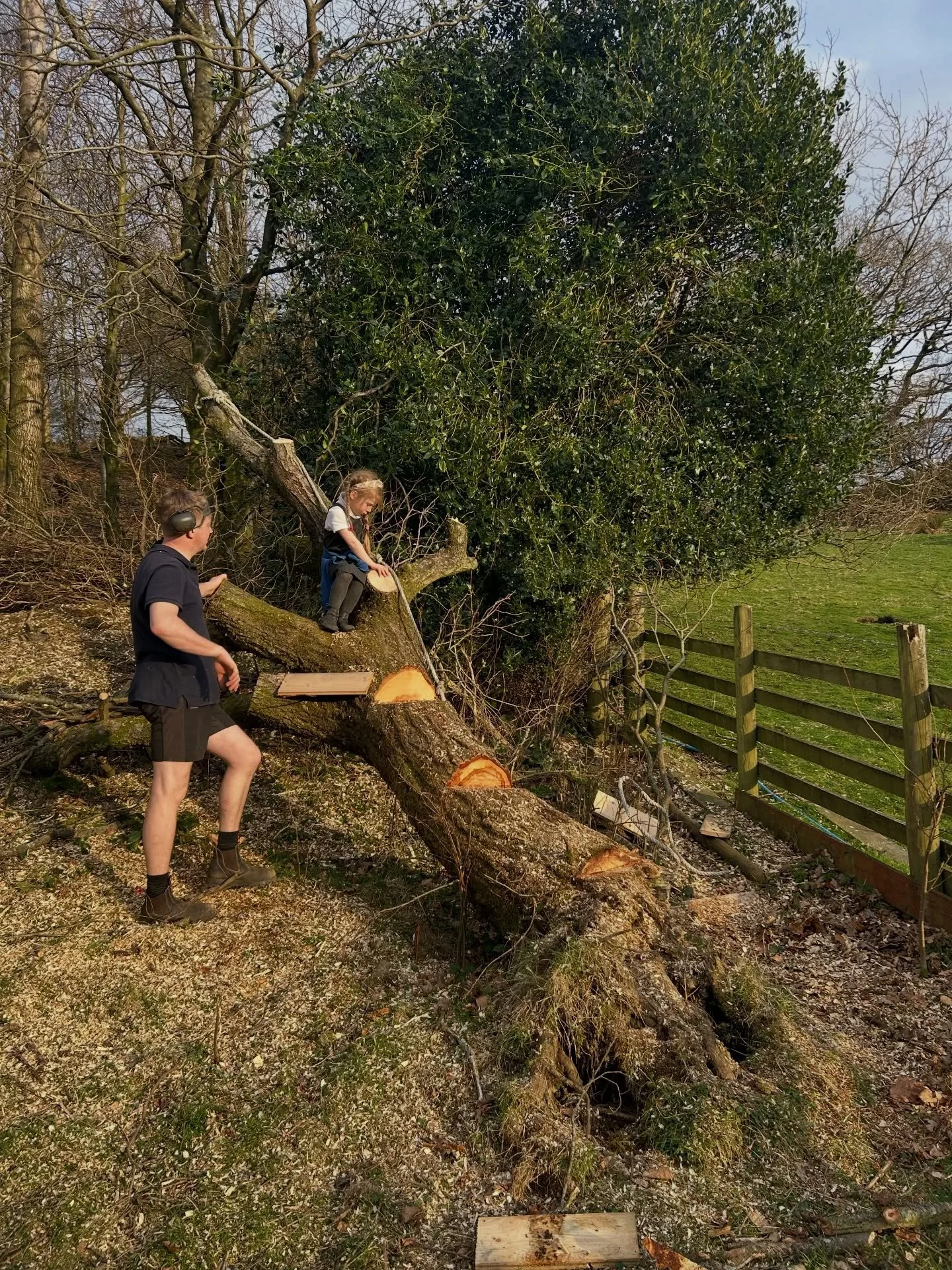 We lost our big tree in a storm this winter, which was sad. It&rsquo;s been lying on its side for months waiting for us to do something with it.

The &lsquo;something&rsquo; began with Jonny fixing boards to it to make it climbable. Of course our eld