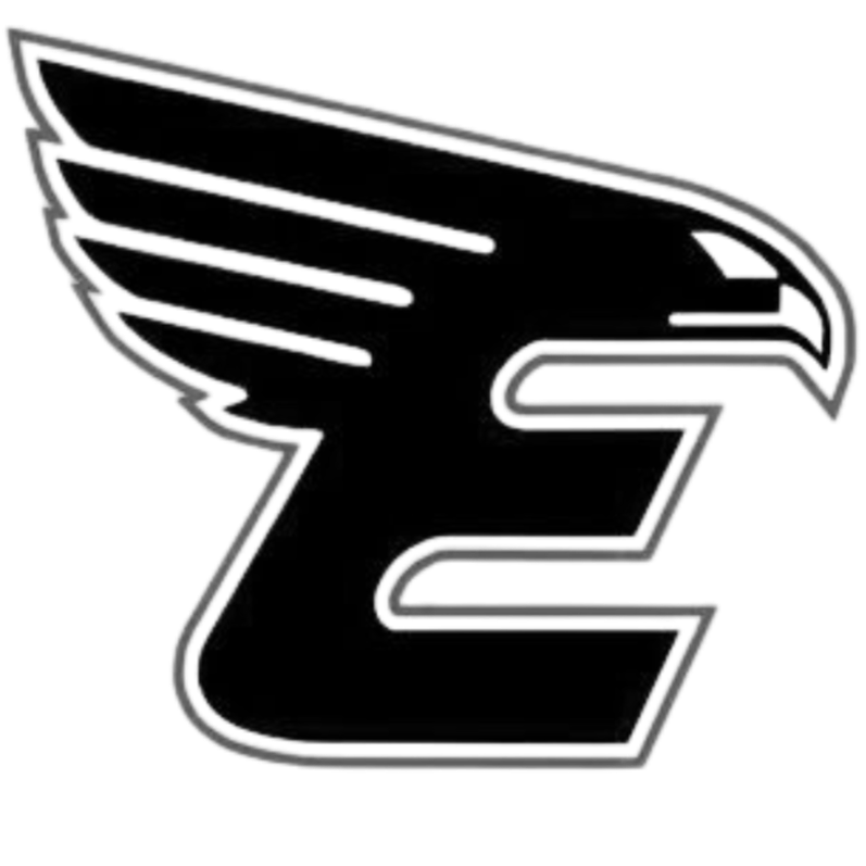 A stylized black and gray logo featuring a winged eagle head combined with the letter 'E'.