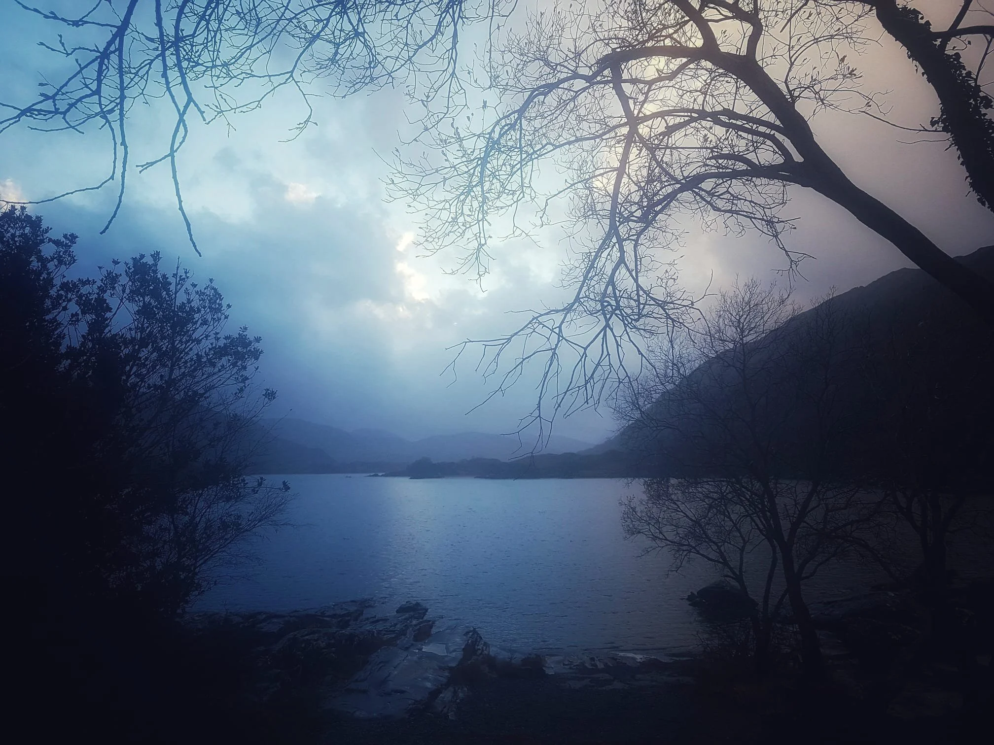 A serene lake surrounded by mountain ranges under a cloudy sky, with bare tree branches in the foreground.